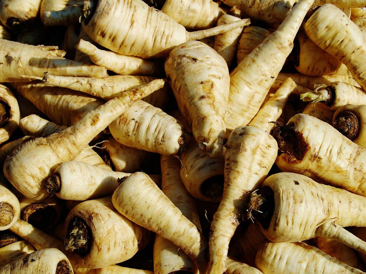 root, vegetable, food, fresh, organic, healthy, natural, vegetarian, agriculture, market, white, parsley, brown vegetables, brown market, parsley, parsley, parsley, parsley, parsley