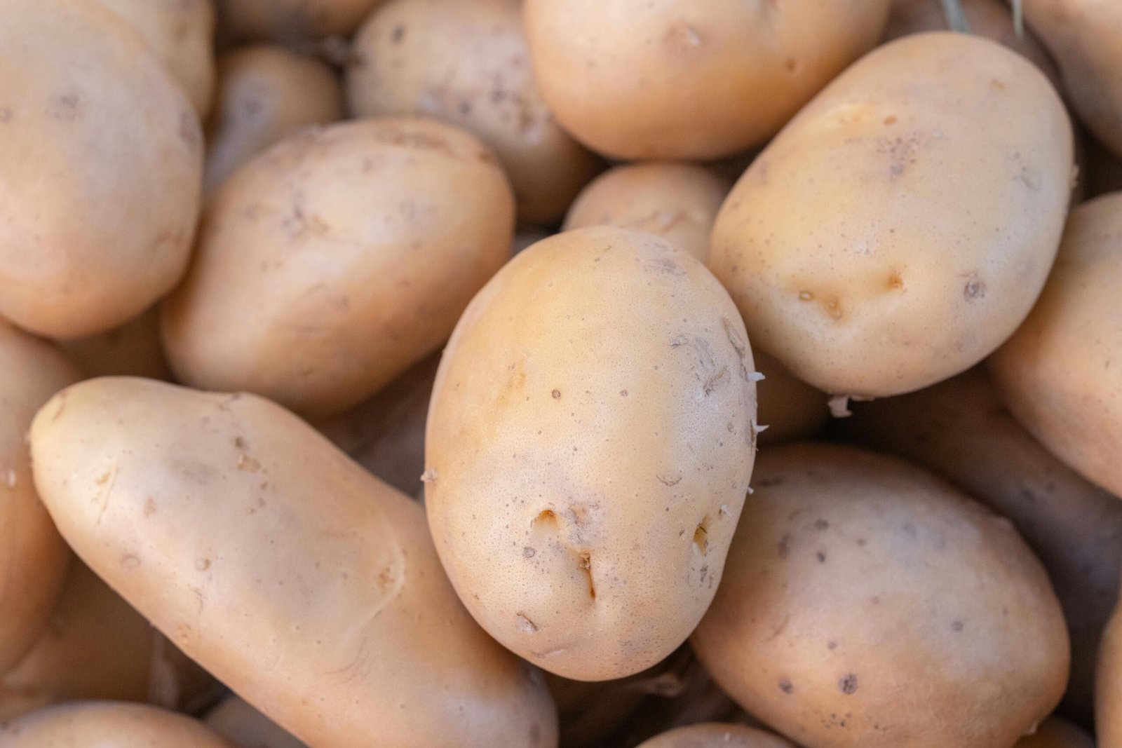 Close-up of freshly harvested potatoes showcasing their natural texture and color.
